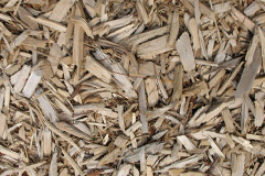 biomass boilers Longstone
